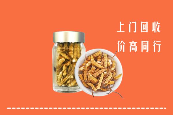 珠海回收冬虫夏草